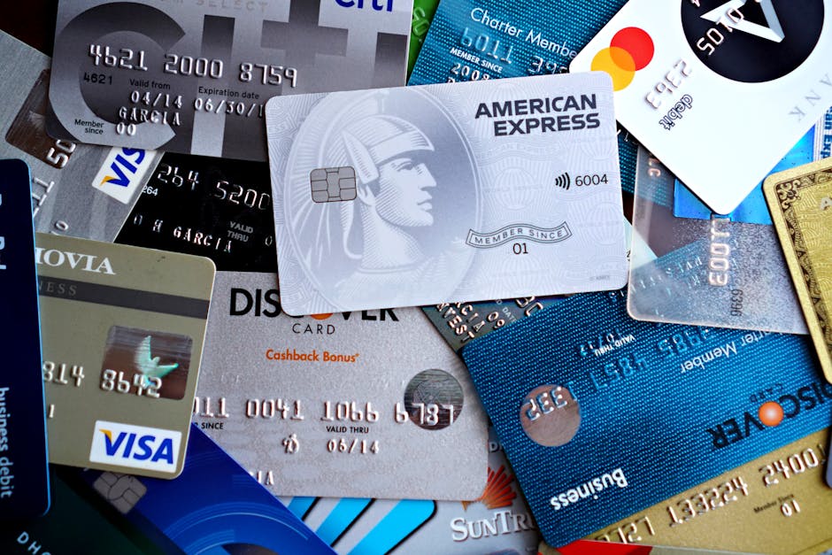 Credit Cards for Building Credit with Rewards in 2026: Earn While You Improve Your Score