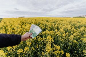 High Yield Cash Management Accounts