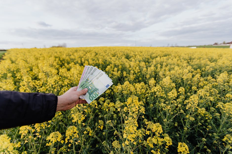 High Yield Cash Management Accounts